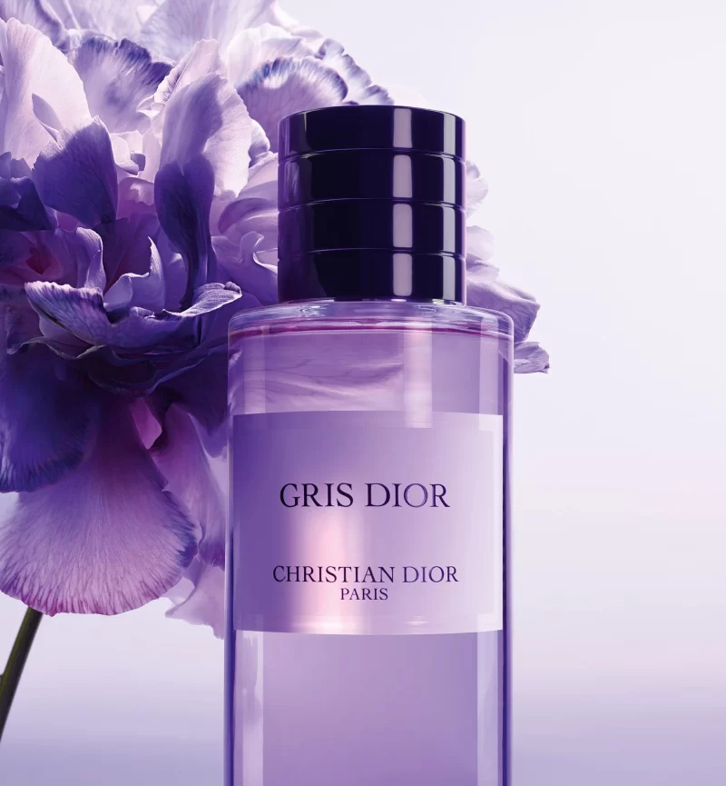 Christian Dior Gris Dior