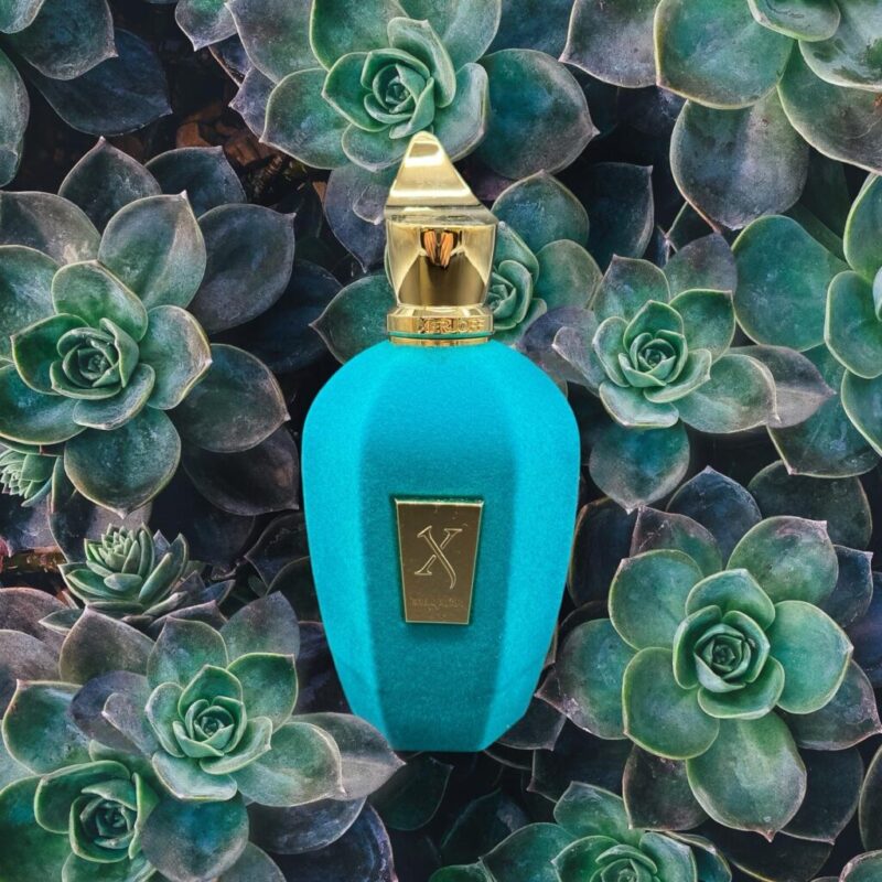 Xerjoff ERBA PURA 100 ml Eau De Parfum Buy in Dubai